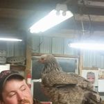 Cory Braun - @braun.260 - Instagram