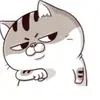 corybraun65390103 - @corybraun65390103 - TikTok