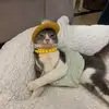 Bruce Cory - @bruce.cory71 - TikTok