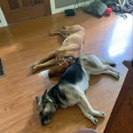 Cory Bruce - @cory.bruce.397 - Instagram