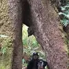 corybundy - @corybundy - TikTok