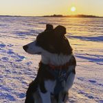 Cory Burnett - @adognamedcory - Instagram
