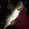 Corey Casey - @coreycasey82 - TikTok