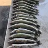 Cory Christensen - @reelwalleye - TikTok