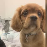 Corey Colvin - @coreycolvin3 - Instagram