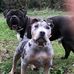 Corey Connors - Facebook