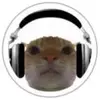 Corey Cronin - @user6366704745794 - TikTok
