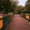 Cory - @coryyydavies - TikTok