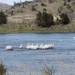 Corey DeWitt - @coreyainslie47 - Instagram