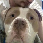 Cory Dickey - @xoticjw999 - Instagram