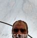 Cory Dodson - Facebook