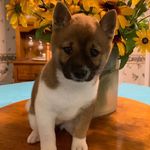 Cory Doyle - @doyle.farms - Instagram