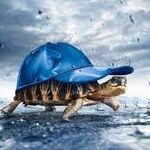 Cory Dutton - @corydutton.12 - Instagram