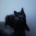 Cory Dutton - Facebook