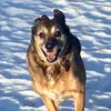 cory erickson - @cory.erickson - TikTok