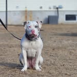 @cory.friesen - Instagram