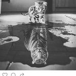 Cory Gibson - @corygibson26 - Instagram