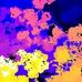 Cory Gillespie - Facebook