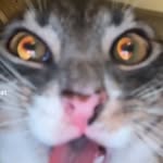 Corey Godfrey - @cxg__4 - Instagram
