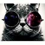 cory gomez - @bunny_3.8 - Instagram