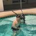 Cory Greenwell - Facebook