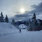 Cory Harding - @c0ry_2 - Instagram