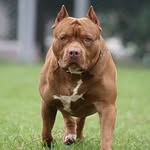 Cory Hightower - @ogg.cory - Instagram