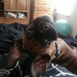 Cory Hubbard - @cory_hubbard_2 - Instagram