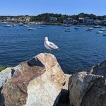 Cory Hubbard - @chubbs2271 - Instagram