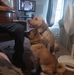 Cory Hurley - Facebook