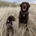Corey Jorgensen - @cjorg96 - Instagram