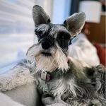 Corey Kurtz - @corey_kurtz - Instagram
