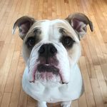 Lance Cory - @lance_cory88 - Instagram