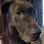 Cory Laughlin - @laughincory - Instagram