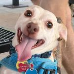 Cory Lawson - @cory_lawson15 - Instagram