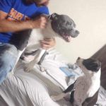 Cory Lawson - @corylawson22 - Instagram