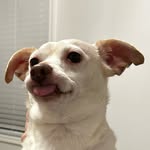 Cory Lawson - @cory_lawson15 - Instagram