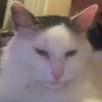 Coryleblanc - @coryleblanc9755 - Instagram