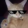 Corey Linkous - @fuck_off2005 - TikTok