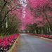 Cory Liu - Facebook