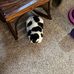Cory Lockhart - Facebook