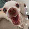 Cory Logan - @cory.logan2 - TikTok