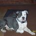 Cory Lohmeyer - Facebook