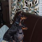 Cory Lopes - @lop8s - Instagram