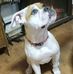 Corey Loucks - Facebook