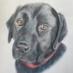 Coryn Tonkin Hallowell - @corynhallowell - Instagram