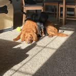 Cory Ludwig - Facebook