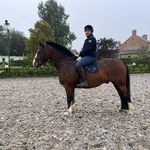 Cory Ludwig - @corylud_96 - Instagram
