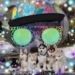 Luke Cory - @lukecory6636 - Instagram