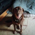 cory McDaniel - @cory_mcdaniel - Instagram